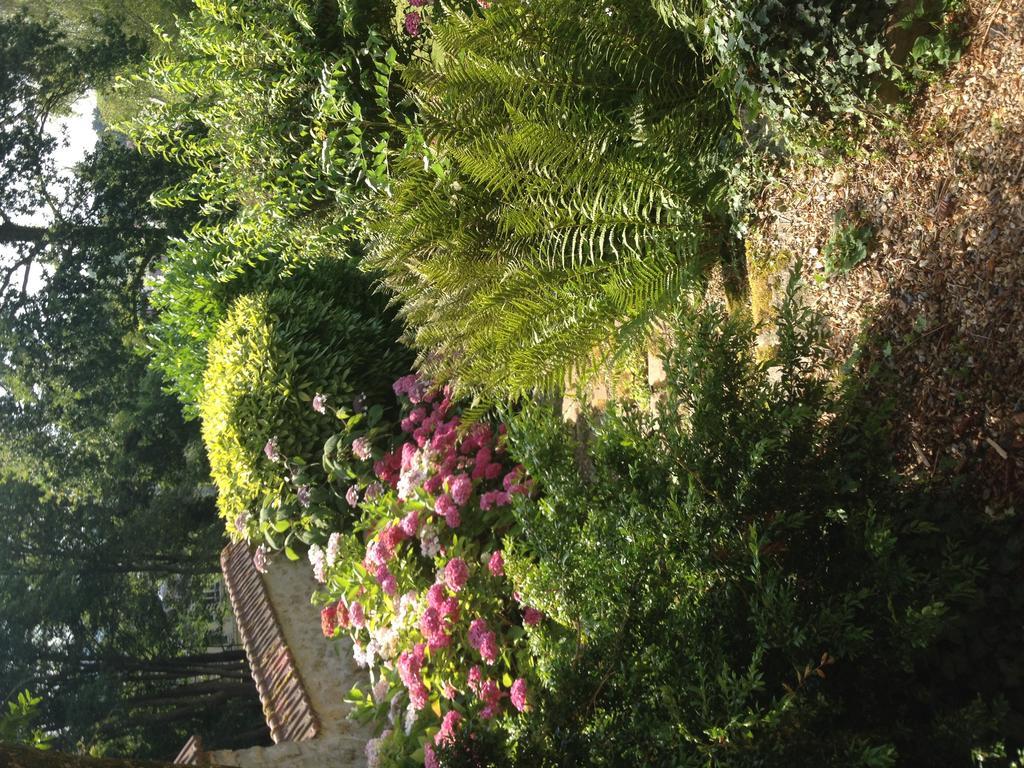 كليرْمو Les Hortensias المظهر الخارجي الصورة